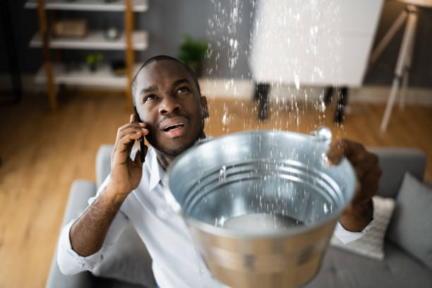 Best Flooded house restoration  in Pemberville, OH