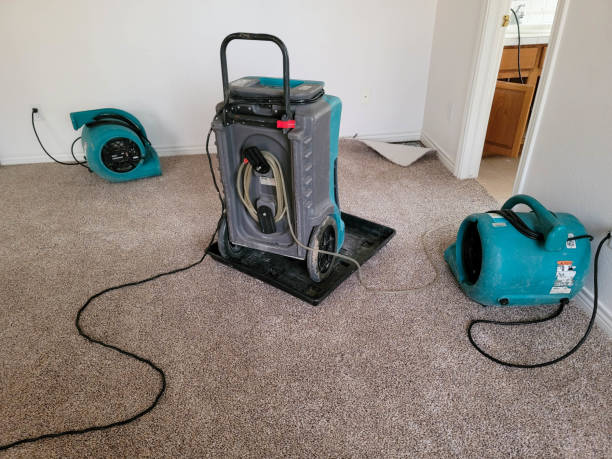 Professional Water damage restoration in Pemberville, OH