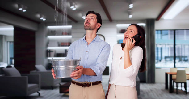 Best Professional water damage repair  in Pemberville, OH