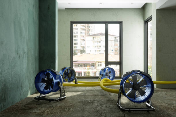 Best Commercial water damage restoration  in Pemberville, OH
